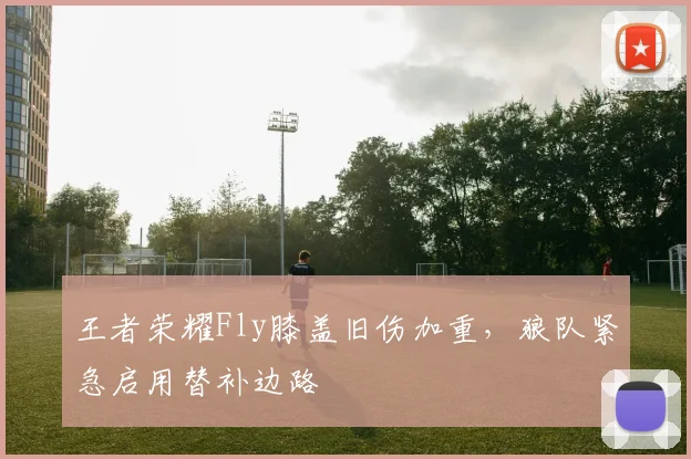 王者荣耀Fly膝盖旧伤加重，狼队紧急启用替补边路